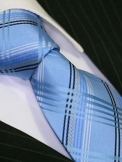 Silk tie blue with grid pattern, article 1654, view 2