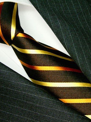 Silk tie brown striped, article 1041, view 2