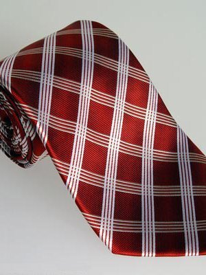 Silk tie red checked, article 1403, view 2